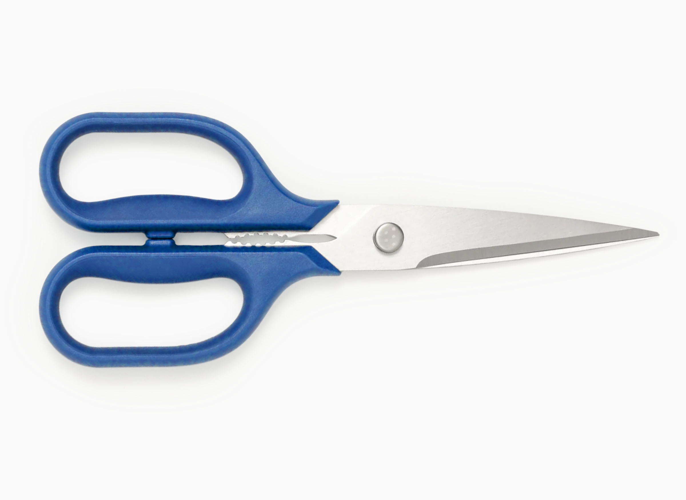 Pair of standard Misen Kitchen Shears with blue handles on a white background